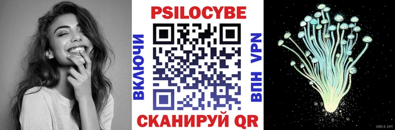 Псилоцибиновые грибы прущие грибы  Купить закладки  Нефтекумск 